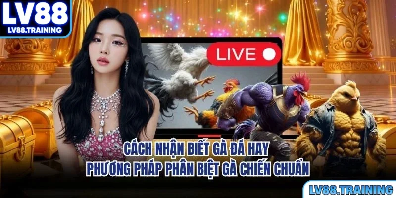 Cách Nhận Biết Gà Đá Hay - Phương Pháp Phân Biệt Gà Chiến Chuẩn