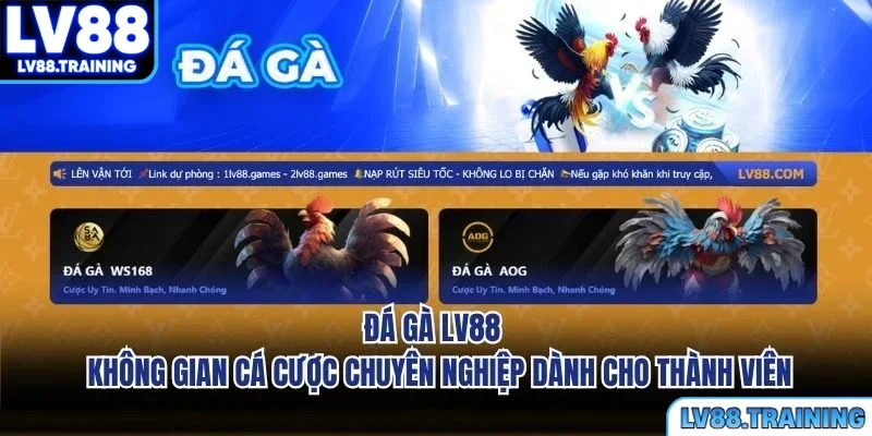 Đá Gà LV88 - Sảnh Game Giải Trí Đỉnh Cao Hấp Dẫn Nhất Hiện Nay