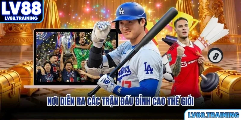 Nơi diễn ra các trận đấu đỉnh cao thế giới
