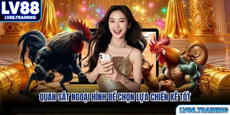 Quan sát ngoại hình để chọn lựa chiến kê tốt